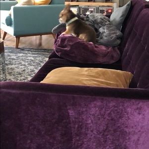 Meet your Posher, Eric